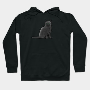 Russian Blue Cat Hoodie